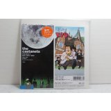 ザ・カスタネッツ the castanets　ねない ねない ねない / Dig〜トンネルをほる〜