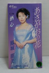鳳城朋美 Tomomi Houjyou　あさがおの花