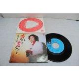 島津ゆたか Yutaka Shimazu　花から花へと