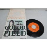白井貴子 Takako Shirai　COLOR FIELD