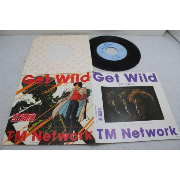 画像1: TM Network　Get Wild