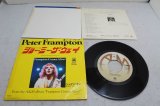 ピーター・フランプトン Peter Franmpton　ショー・ミー・ザ・ウェイ Show Me The Way