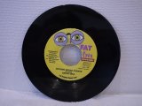 BEENIE MAN 　NOTHING GONNA CHANGE(M.Davis) / Zebra 　RED