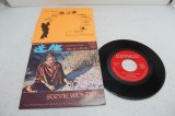 スティービーワンダー Stevie Wonder　迷信