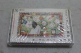 高野寛 Hiroshi Takano　べステン・ダンク