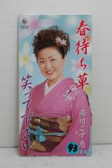 画像: 湯川こず恵 Kozue Yukawa　春待ち草