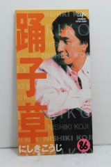 画像: にしきこうじ　Kouji NIshiki　踊子草