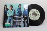 画像: ハウンドドッグ Hound Dog　AMBITIOUS