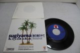 画像: 杉山清貴 Kiyotaka Sugiyama　僕の腕の中で