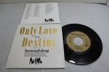 画像: ハウンドドッグ Hound Dog　Only Love Destiny