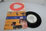 画像: 塚田三喜夫 Mikio Tsukada　愛の女王蜂